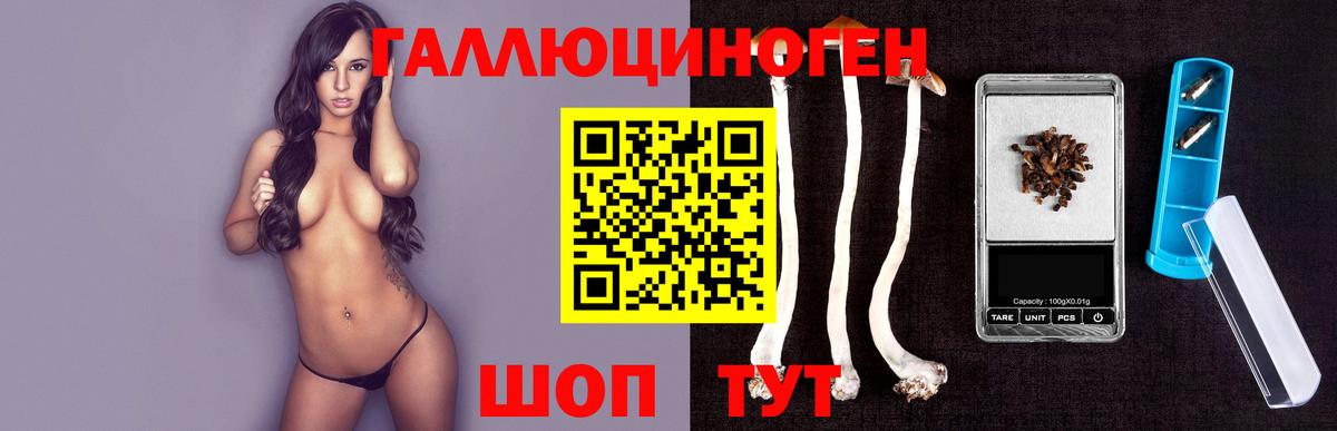 Псилоцибиновые грибы Psilocybe Старая Купавна